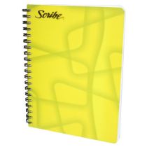 CUADERNO PROFESIONAL RAYA...